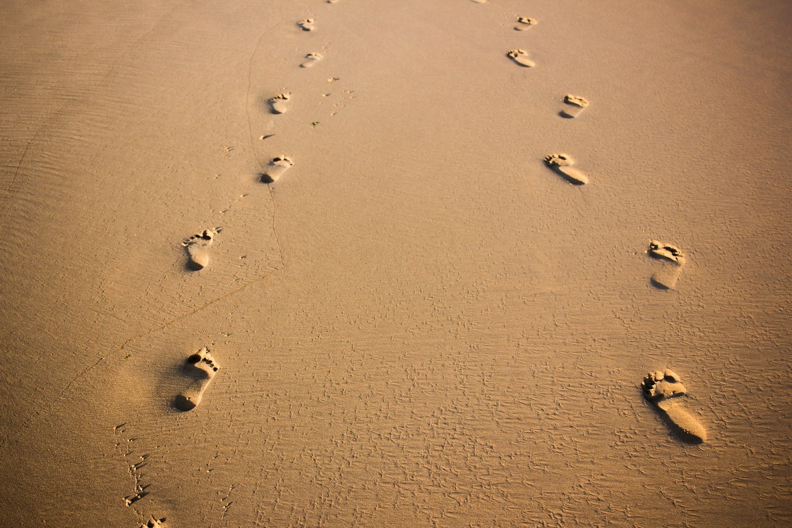 felipe-correia-ScQngs6oO1E-unsplash (1)