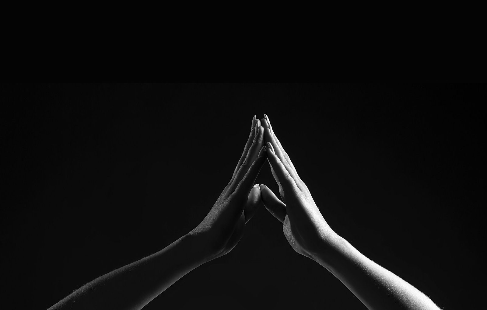 ricardo-gomez-angel-D9kOnC_1AHw-unsplash